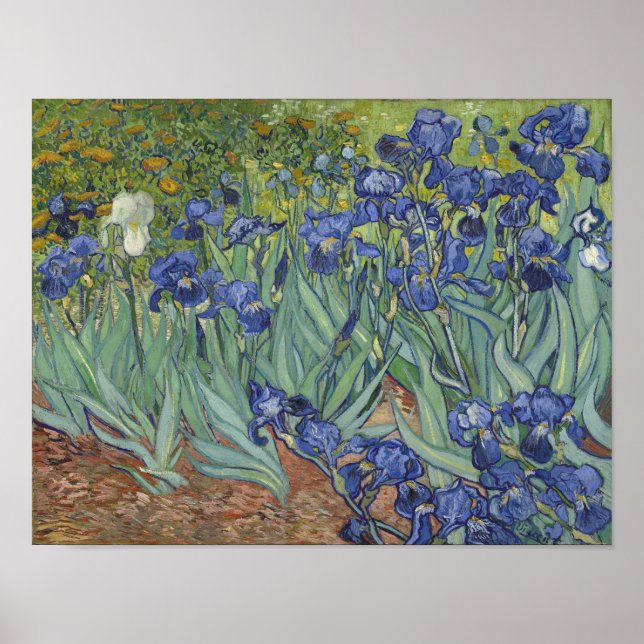 Affiche Iris de Van Gogh (Devant)