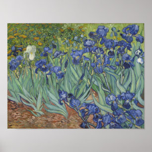Affiche Irises de van Gogh