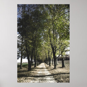 affiche jaune de Forrest Gump