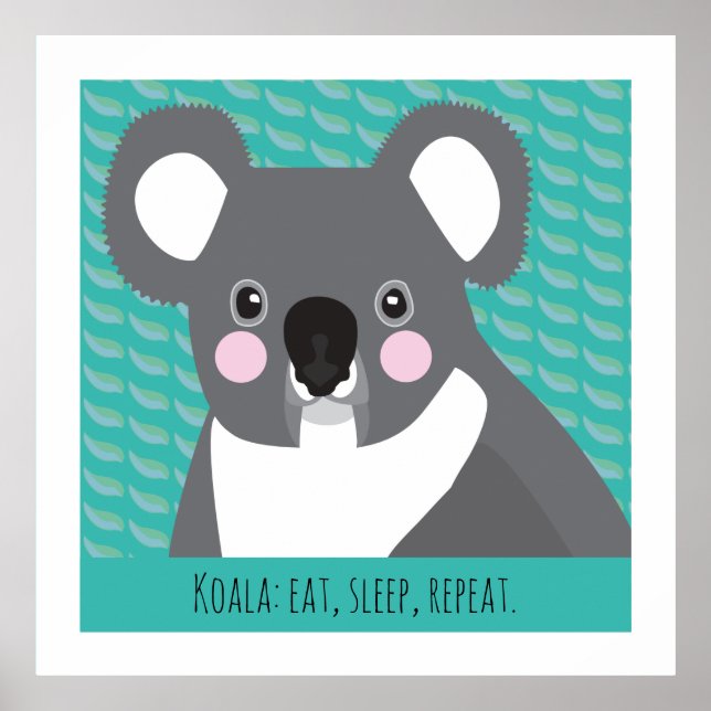 Affiche Koala (Devant)