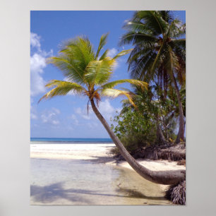 Affiche Lagon bleu de Rangiroa