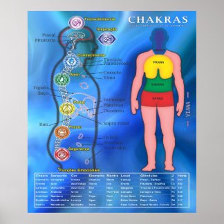 Affiche le Chakras et leurs liaisons
