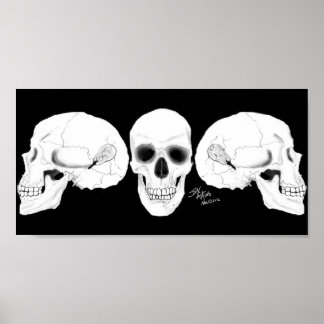 Affiche Le Crâne Avec Les CI Supprimés