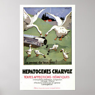 Affiche Médicale Vintage Hepatogenes Charvoz Franç
