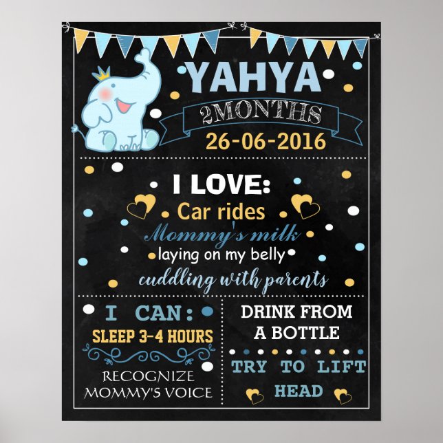Affiche mensuelle du tableau de bord Elephant Baby (Devant)