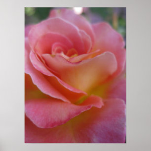 Affiche molle de la pêche (1)