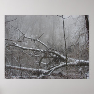 Affiche Monochrome Blizzard