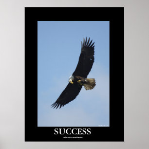Affiche motivationnelle de l'aigle à tête blanche