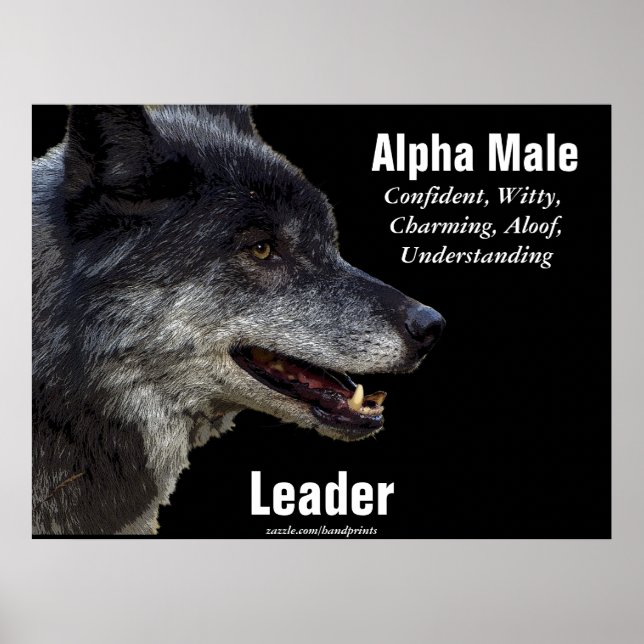 Affiche motivationnelle du loup gris (Devant)