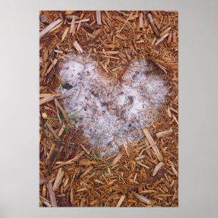 affiche Mulch Love de tasullivan
