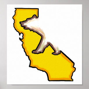 affiche murale de l'ours de Californie