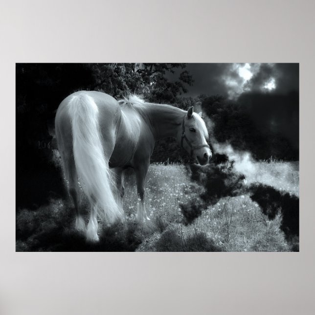 affiche mystique à cheval de nuit (Devant)