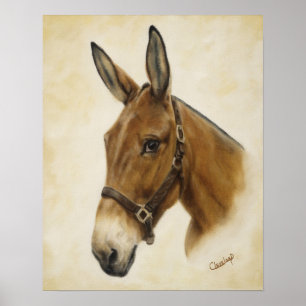 Affiche occidentale de mule