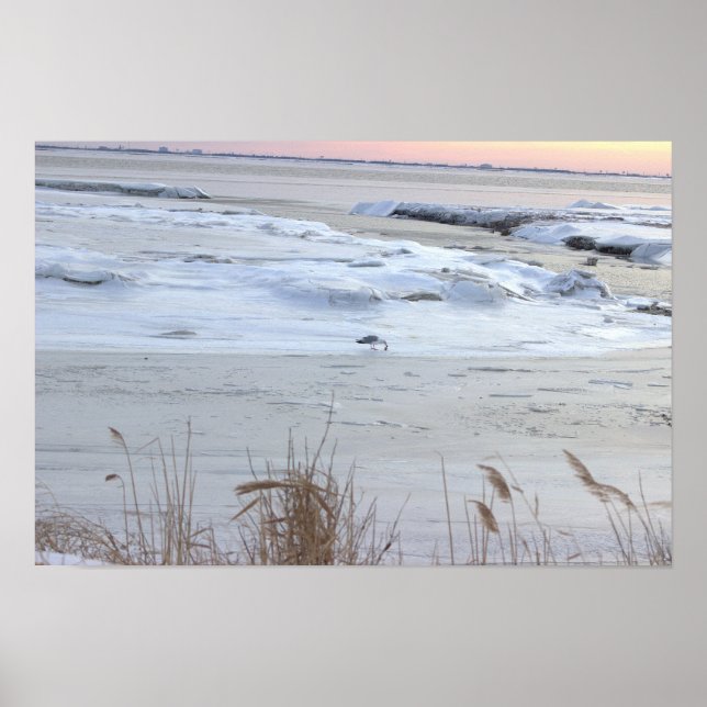 Affiche Océan Gelé avec Mouette (Devant)
