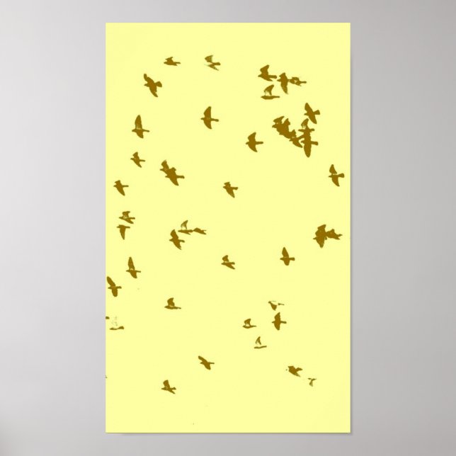 Affiche Oiseaux dans le ciel (Devant)