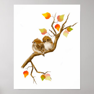 Affiche Pair of Sparrow Birds Imprimer