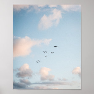 Affiche papier de coucher de soleil de pélican (se
