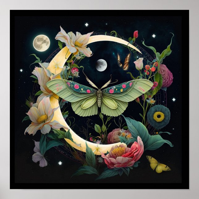 Affiche  Papillon de nuit (Devant)