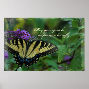 Affiche Papillon Free Spirit Imprimer