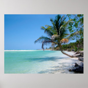 affiche paradis de plage tropicale DE 8.60