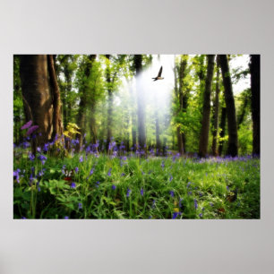 affiche paradis trouvé