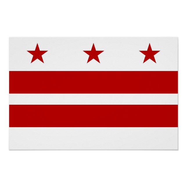 Affiche patriotique avec drapeau de Washington DC (Devant)