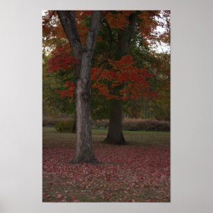 Affiche photo d'arbres d'automne 