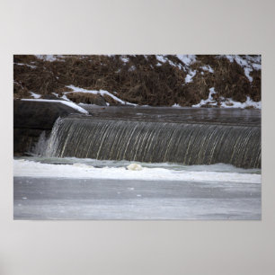 Affiche photo de cascade