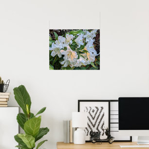 Affiche photographique florale de lys blancs en fl