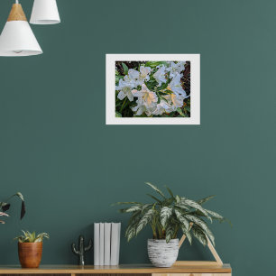 Affiche photographique florale de lys blancs en fl