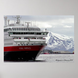 Affiche polaire de Cruiseship