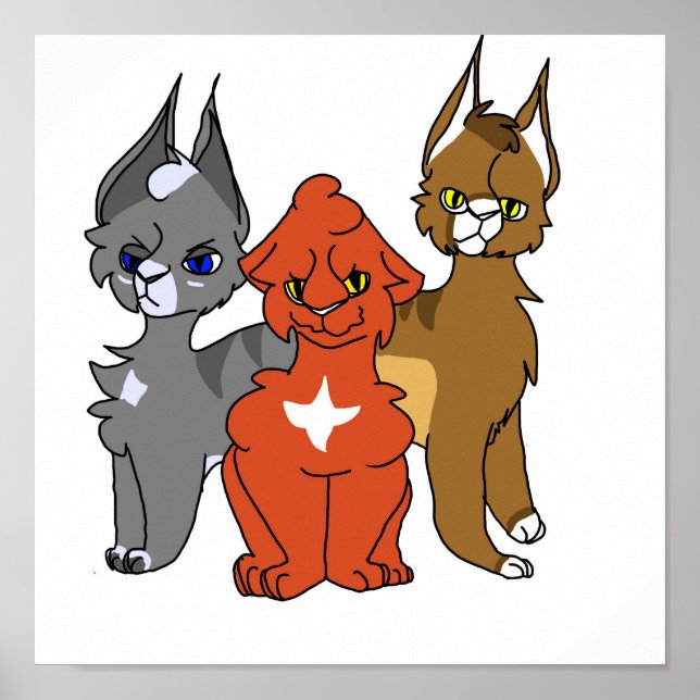 Affiche pour chats de médecine (Devant)