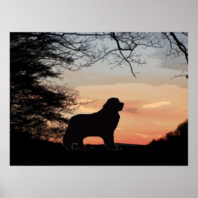 Affiche pour chien de Terre-Neuve (Devant)