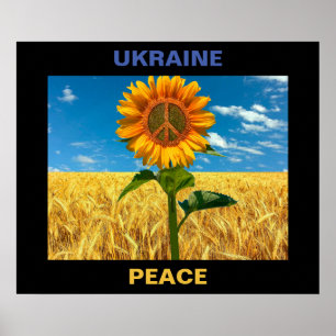 Affiche pour la paix en Ukraine - 24"x20"