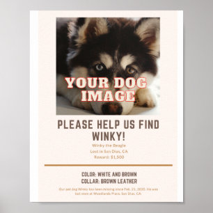 affiche pour votre chien disparu