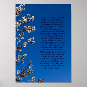 Affiche Psalms 23