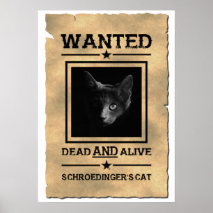 Affiche Recherchée de Schroedinger's Cat   Plaisan