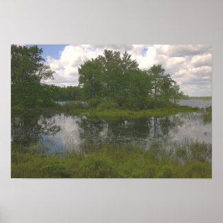 Affiche Reflections Waterscape