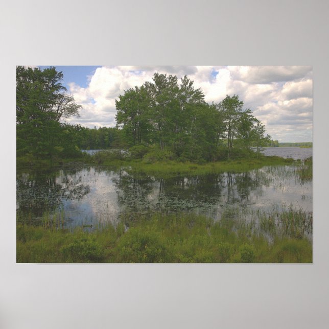 Affiche Reflections Waterscape (Devant)