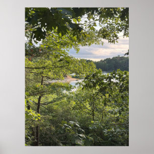 Affiche Regardant à travers les Arbres