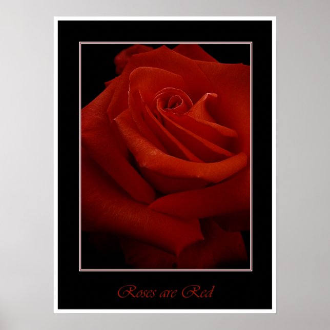 affiche rouge roses (Devant)
