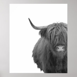 Affiche rustique vache des Highlands Écosse noir b
