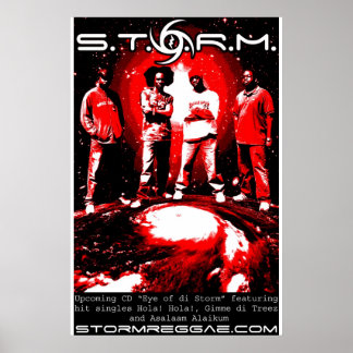 Affiche S.T.O.R.M.