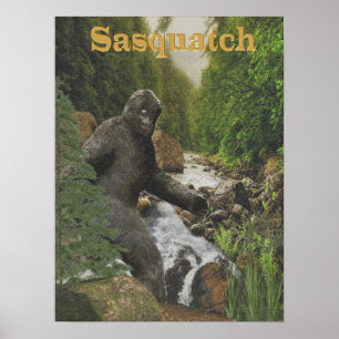 affiche sasquatch