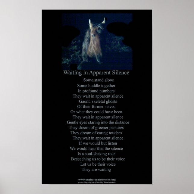 Affiche SC inc (Devant)