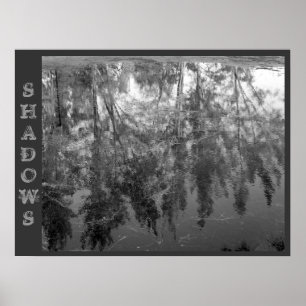 Affiche SHADOWS