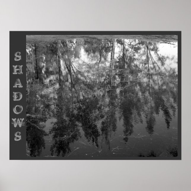 Affiche SHADOWS (Devant)