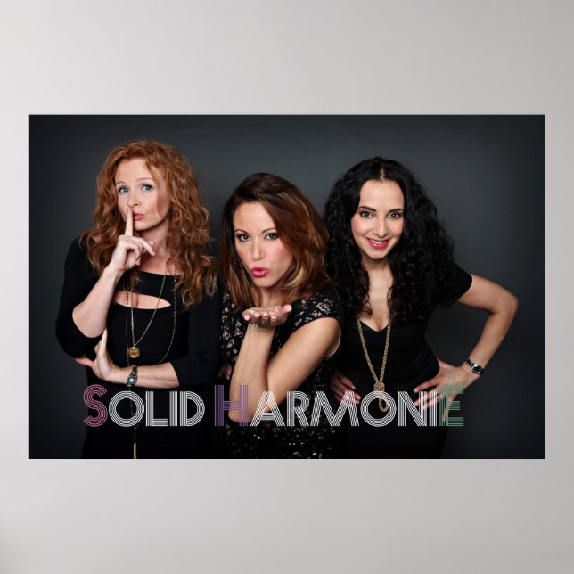Affiche SHE 2014 (Devant)