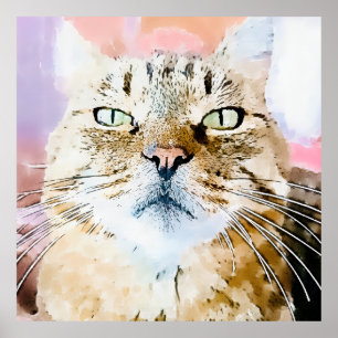Affiche Simba le chat tigré