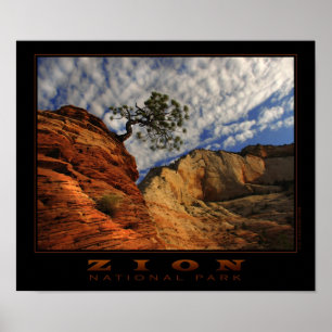 Affiche solitaire d'arbre de Zion